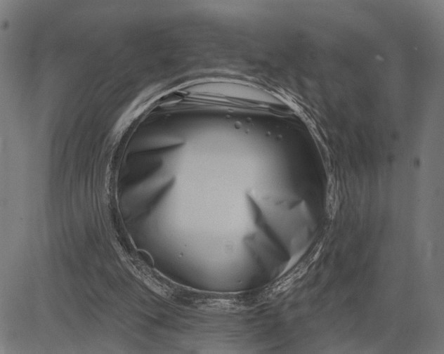 X0000082710151200702091756