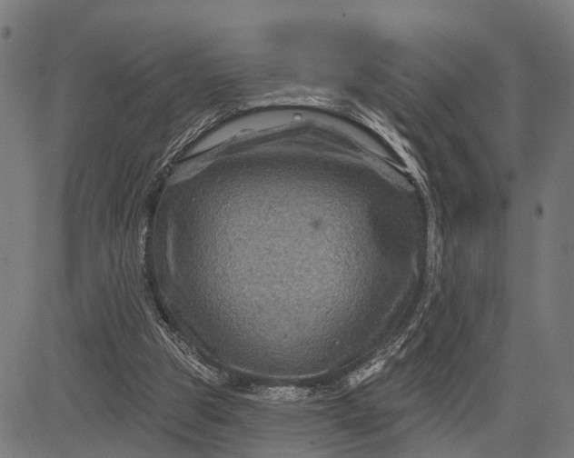 X0000082710153200702091756