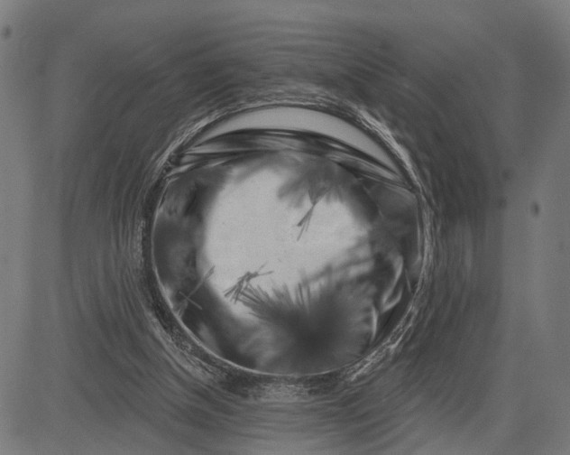 X0000082710154200702091756