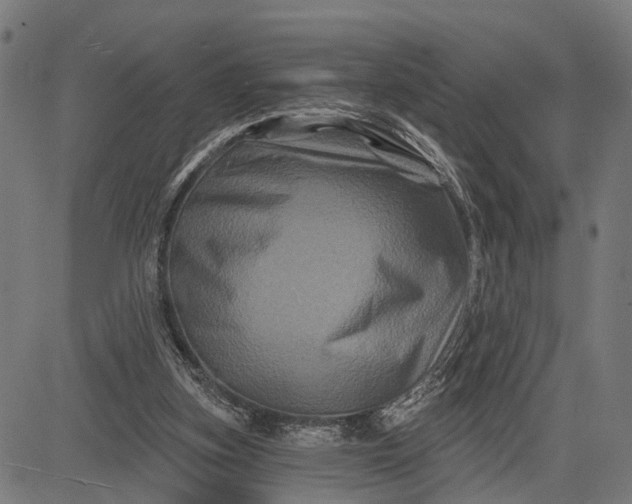 X0000082710155200702091756