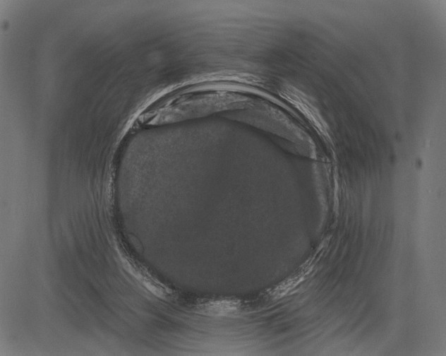 X0000082710156200702091756