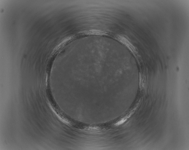 X0000082710157200702091756