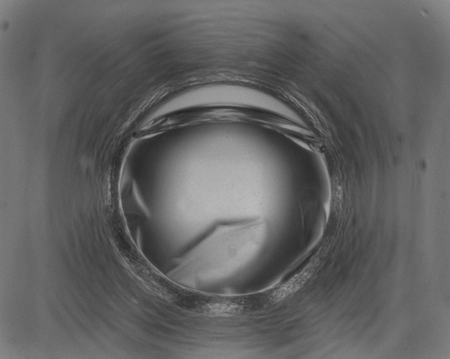 X0000082710158200702091756