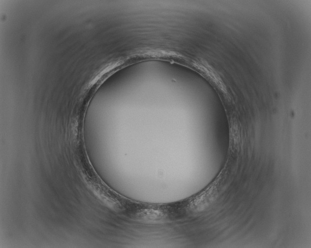 X0000082710159200702091756