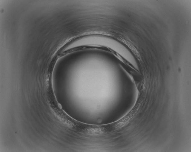 X0000082710160200702091756