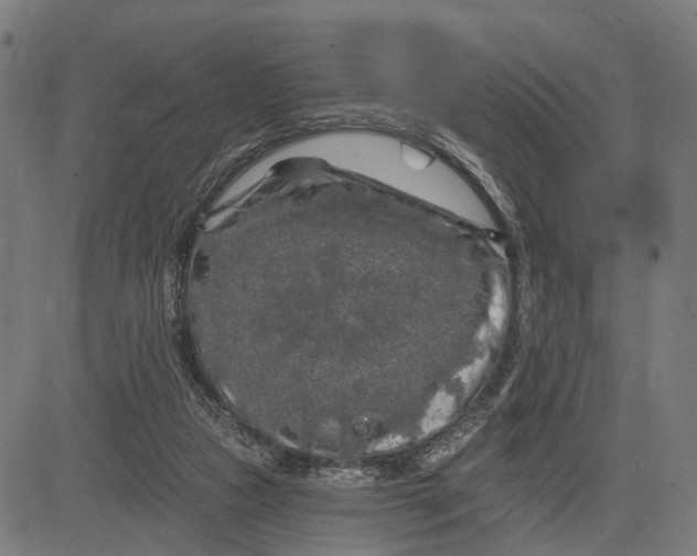 X0000082710161200702091756