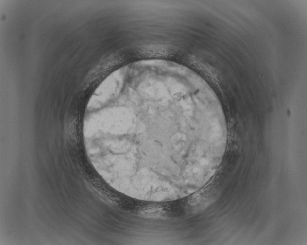 X0000082710162200702091756