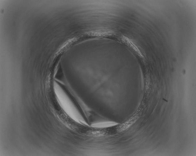 X0000082710163200702091756