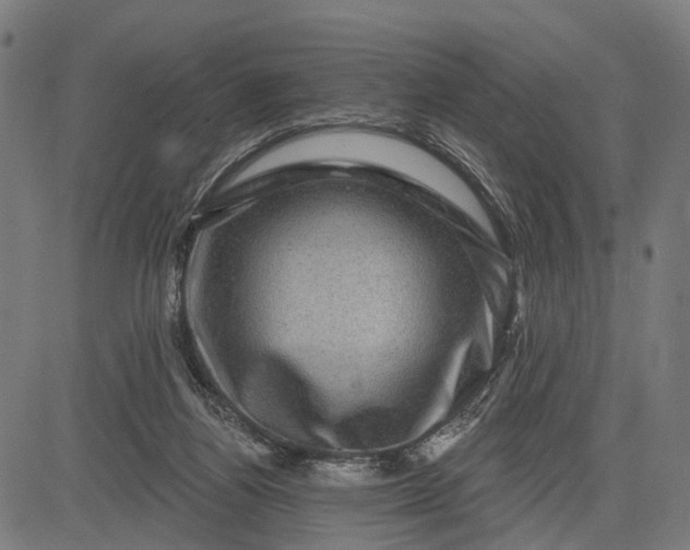 X0000082710164200702091756