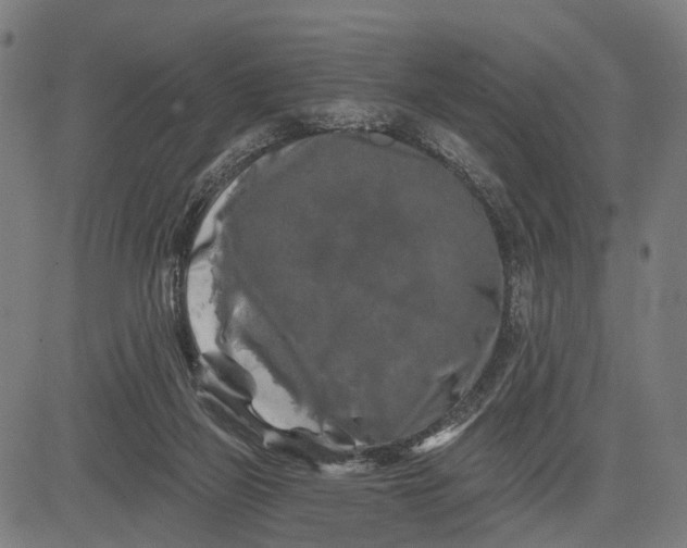 X0000082710165200702091756