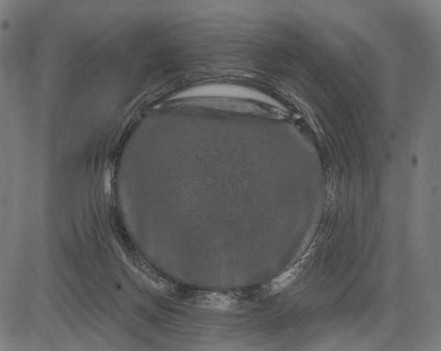 X0000082710166200702091756