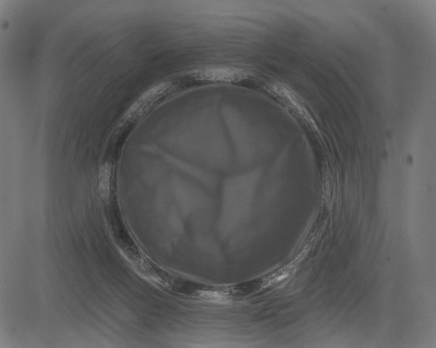 X0000082710167200702091756