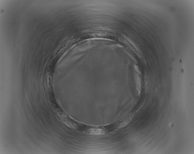 X0000082710169200702091756