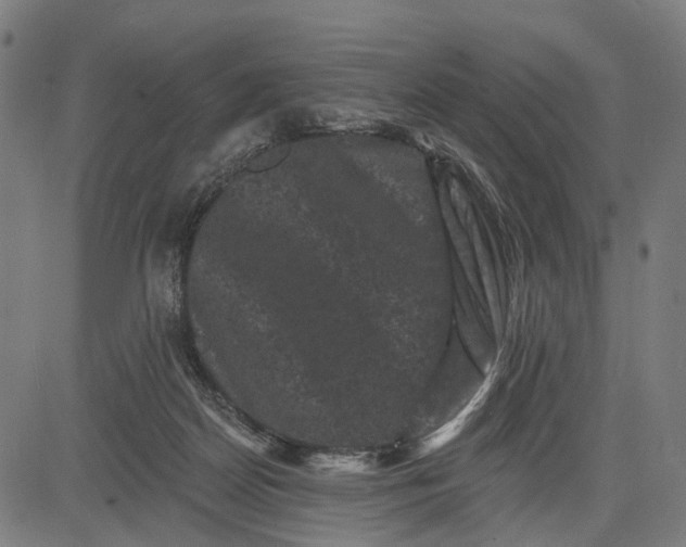 X0000082710170200702091756