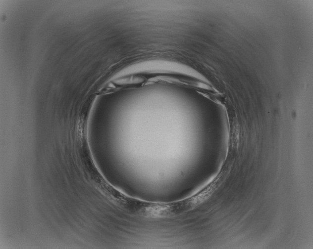 X0000082710172200702091756