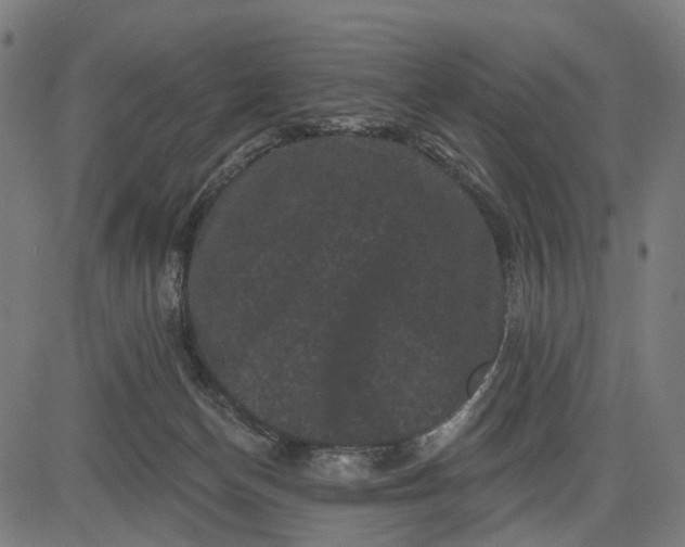 X0000082710174200702091756