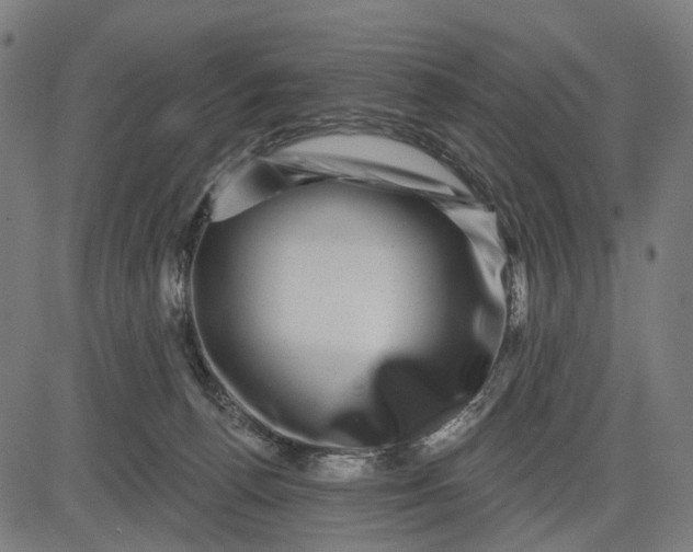 X0000082710176200702091756