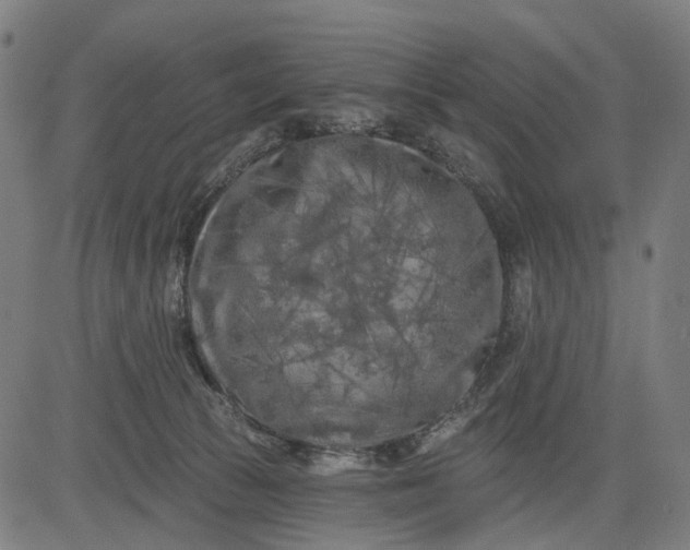 X0000082710177200702091756