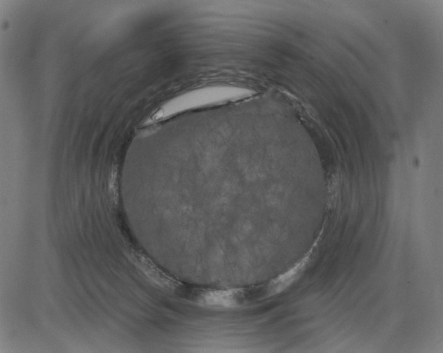 X0000082710178200702091756