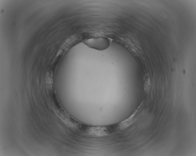 X0000082710179200702091756