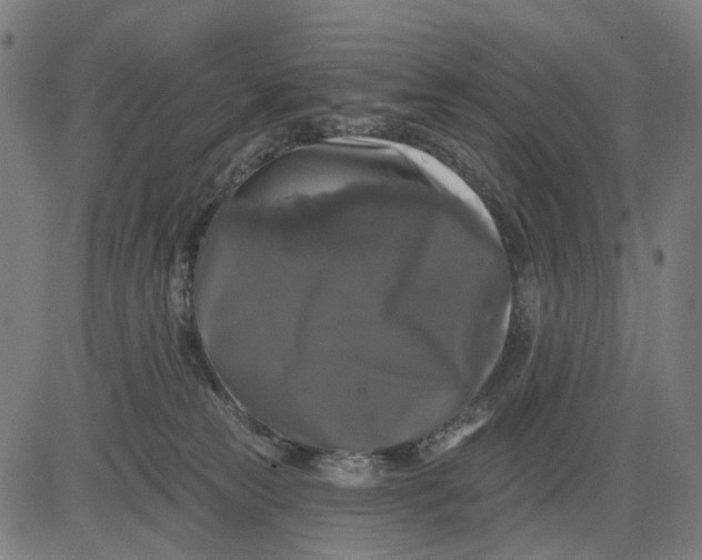 X0000082710181200702091756