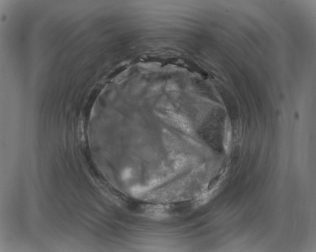 X0000082710182200702091757