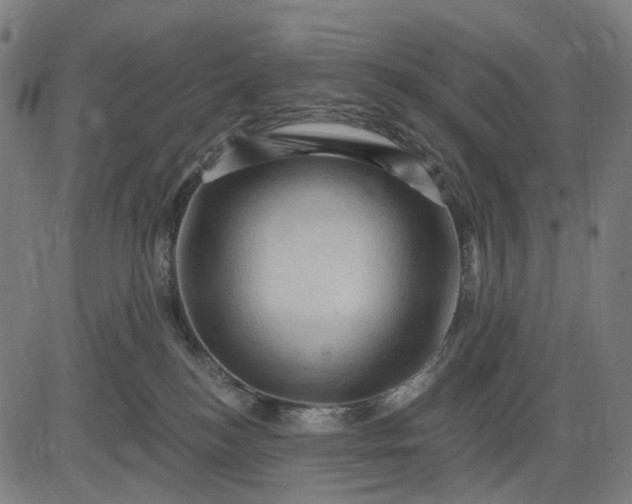 X0000082710184200702091757