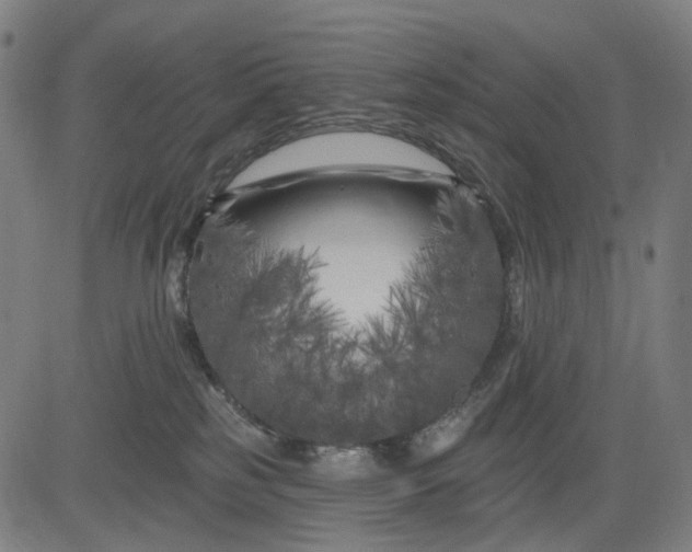 X0000082710185200702091757