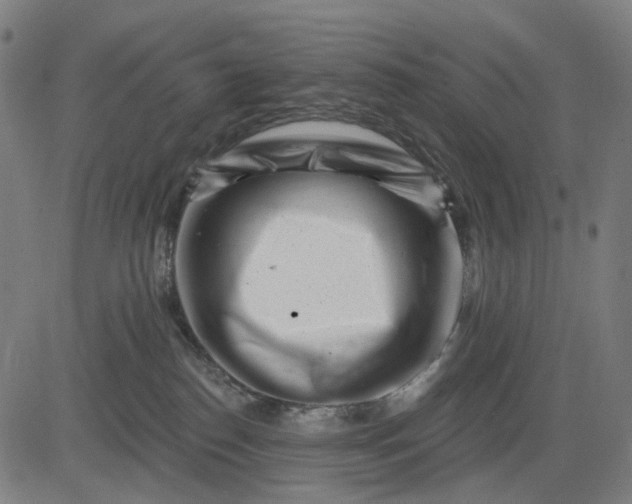 X0000082710186200702091757