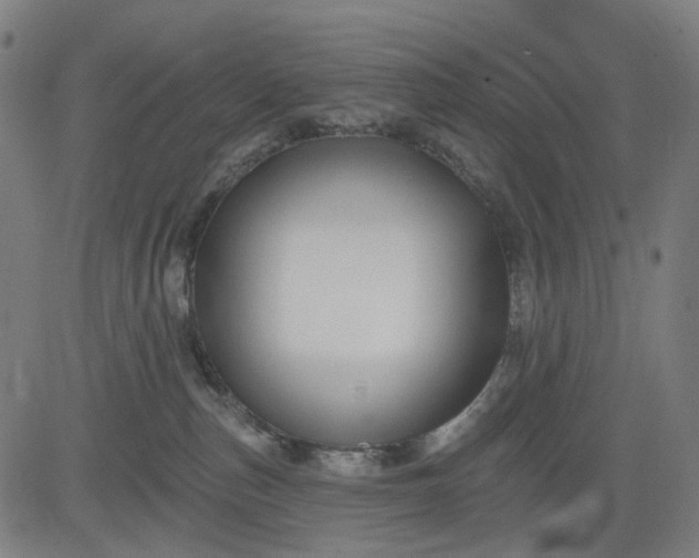 X0000082710187200702091757