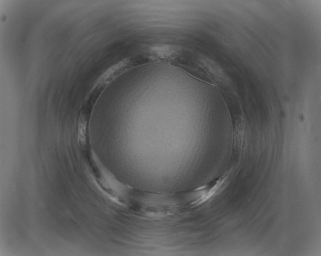 X0000082710188200702091757