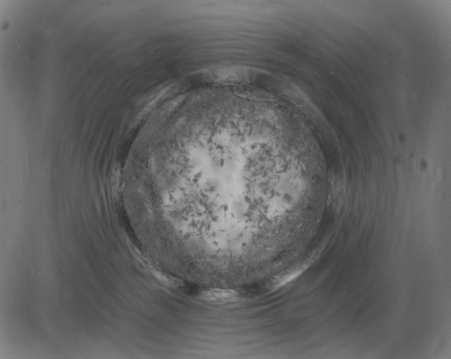 X0000082710189200702091757