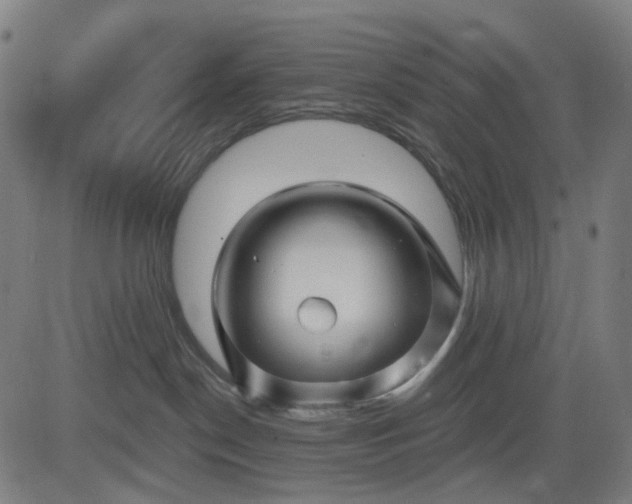 X0000082710190200702091757