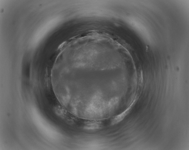 X0000082710191200702091757