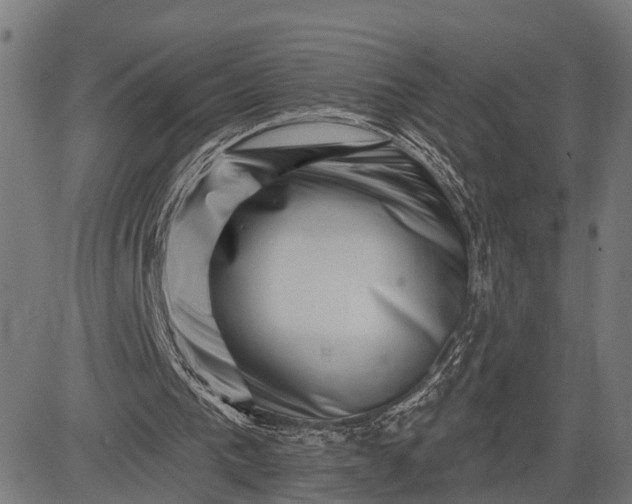 X0000082710193200702091756