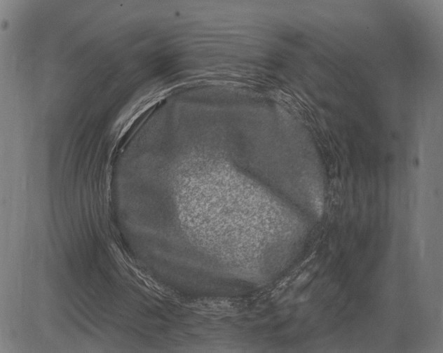 X0000082710194200702091756