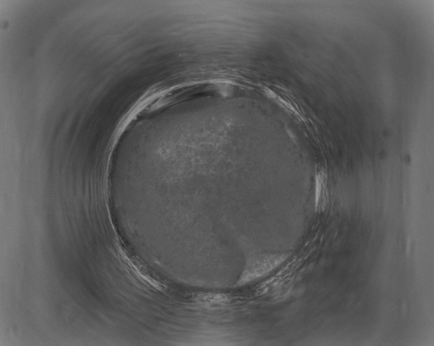 X0000082710195200702091756