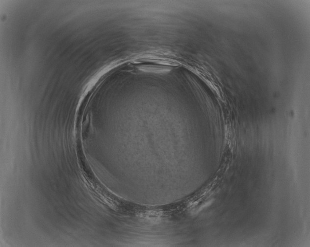 X0000082710196200702091756