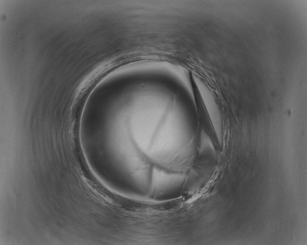 X0000082710197200702091756