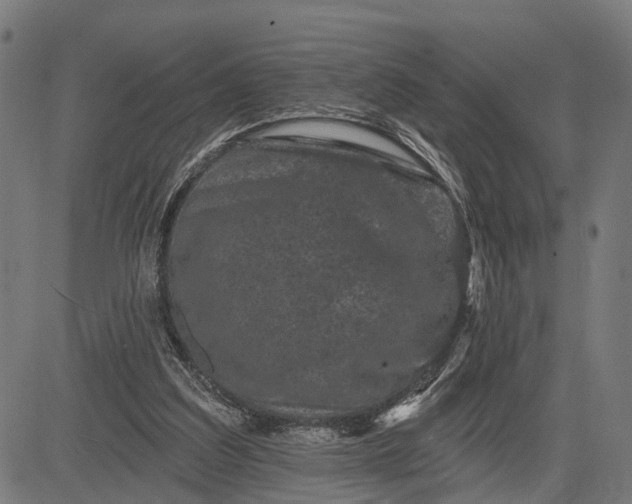 X0000082710203200702091756