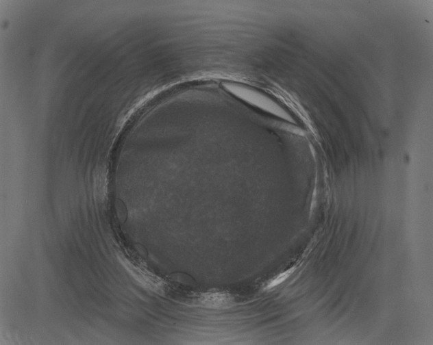 X0000082710204200702091756