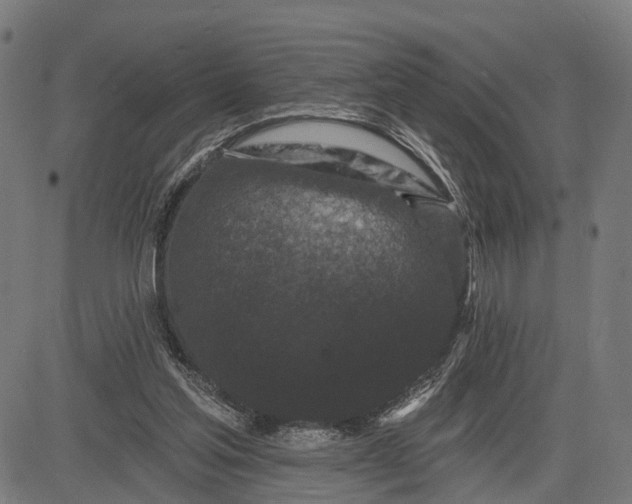 X0000082710205200702091756