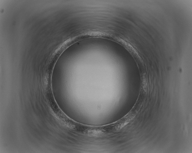 X0000082710208200702091756