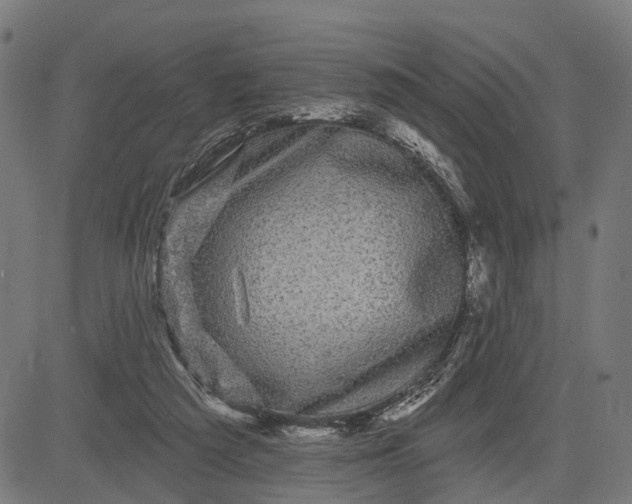 X0000082710209200702091756