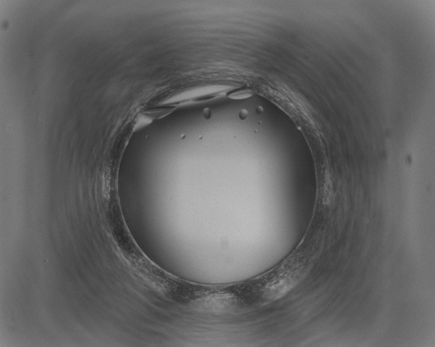 X0000082710210200702091756