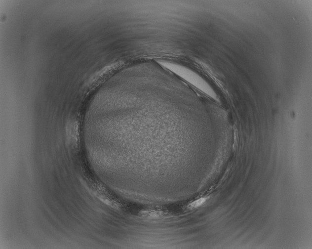 X0000082710211200702091756