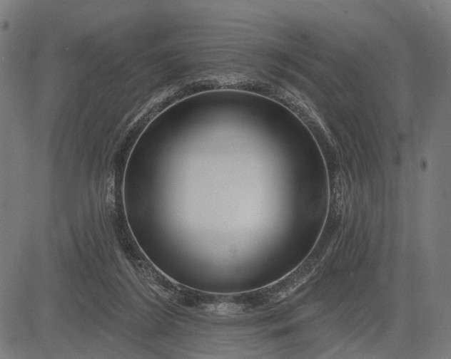 X0000082710212200702091756