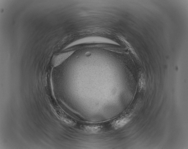 X0000082710213200702091756