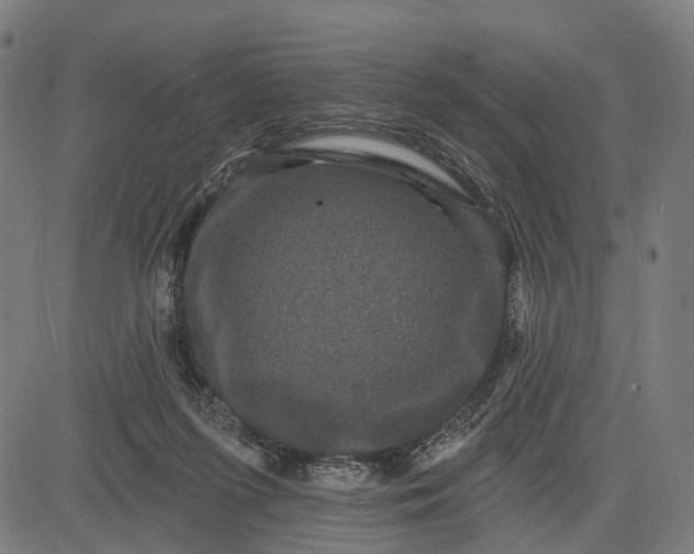 X0000082710215200702091756