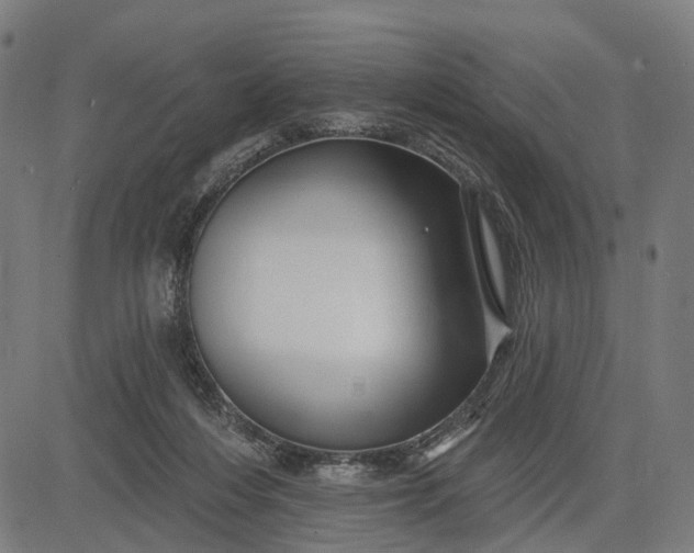 X0000082710216200702091756